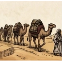 Camel Caravan